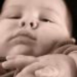 William Wegner Photo 24
