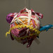 Kelly Mccafferty Photo 13