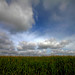 Richard Luce Photo 3