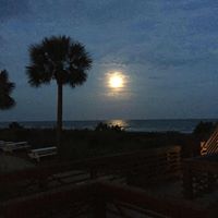 Peggy Todd Photo 29