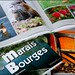 Patricia Marchand Photo 29