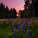 Stephen Richter Photo 30