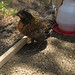 Becky Combs Photo 30