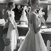 Allan Kelly Photo 32