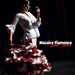 Stephanie Bailes Photo 8