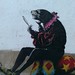 Paul Jester Photo 21