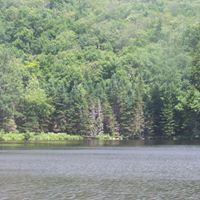 Roy Clements Photo 7