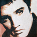 Bruce Presley Photo 13