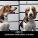 Bradley Floyd Photo 28