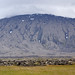 Verne Paradise Photo 6