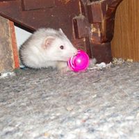 Ruby Mcneely Photo 4