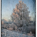 Ronald Winters Photo 14