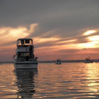 Lisa Neveu Photo 4