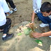 Dan Link Photo 28