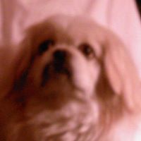 Rose Clark Photo 32