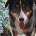 Kelly Secord Photo 2