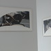 Christian Cooper Photo 19
