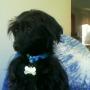 Watson Taylor Photo 5