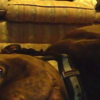 Jessie Meeks Photo 4