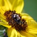 Darla Sellers Photo 7