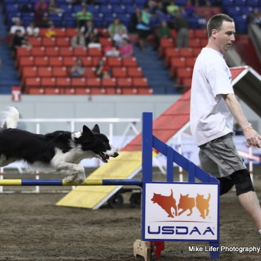 Steve Schwarz Photo 34