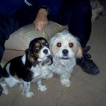 Kathy Anderson Photo 37