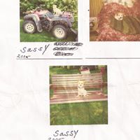 Betty Tracy Photo 6