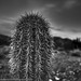 Shaun Sharp Photo 14