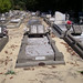 Alfred Carter Photo 12
