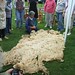 Gina Dyer Photo 14