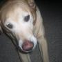 Jennifer Corry Photo 15