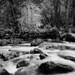 John Sexton Photo 38