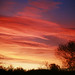 Nick Shepherd Photo 34