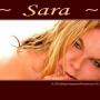 Sara Lauer Photo 18