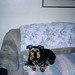 Maxwell Hay Photo 7