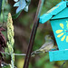 Debra Brake Photo 9