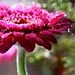Joy Light Photo 23