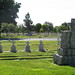 Delano Martin Photo 12