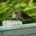 Martin Lesser Photo 9