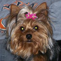 Susan Yost Photo 10