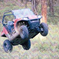 Wes Simpson Photo 39