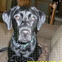 John Severson Photo 34