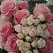 Rose Robinson Photo 15
