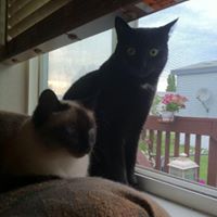 Debra Welch Photo 38