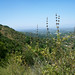 Nancy Fryman Photo 9