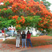 Irene Rios Photo 18