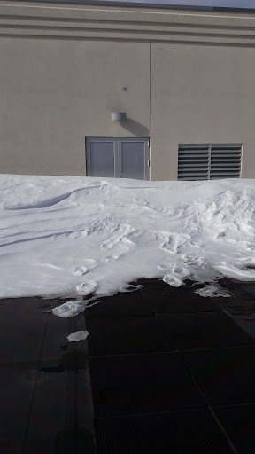 Kevin Sprague Photo 32