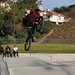 Steven Rice Photo 39