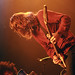 Darren Stroud Photo 14