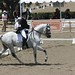 Debbie Steffen Photo 14